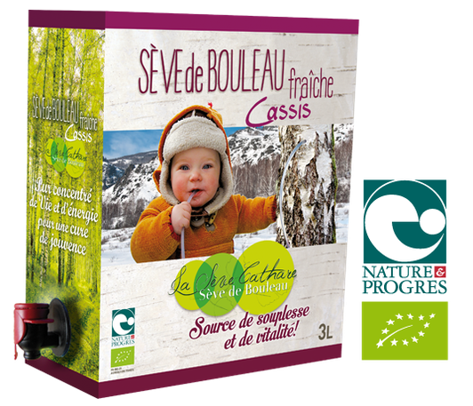 Sève de bouleau fraîche BIO Cassis