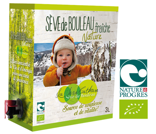 Sève de bouleau fraîche BIO Nature
